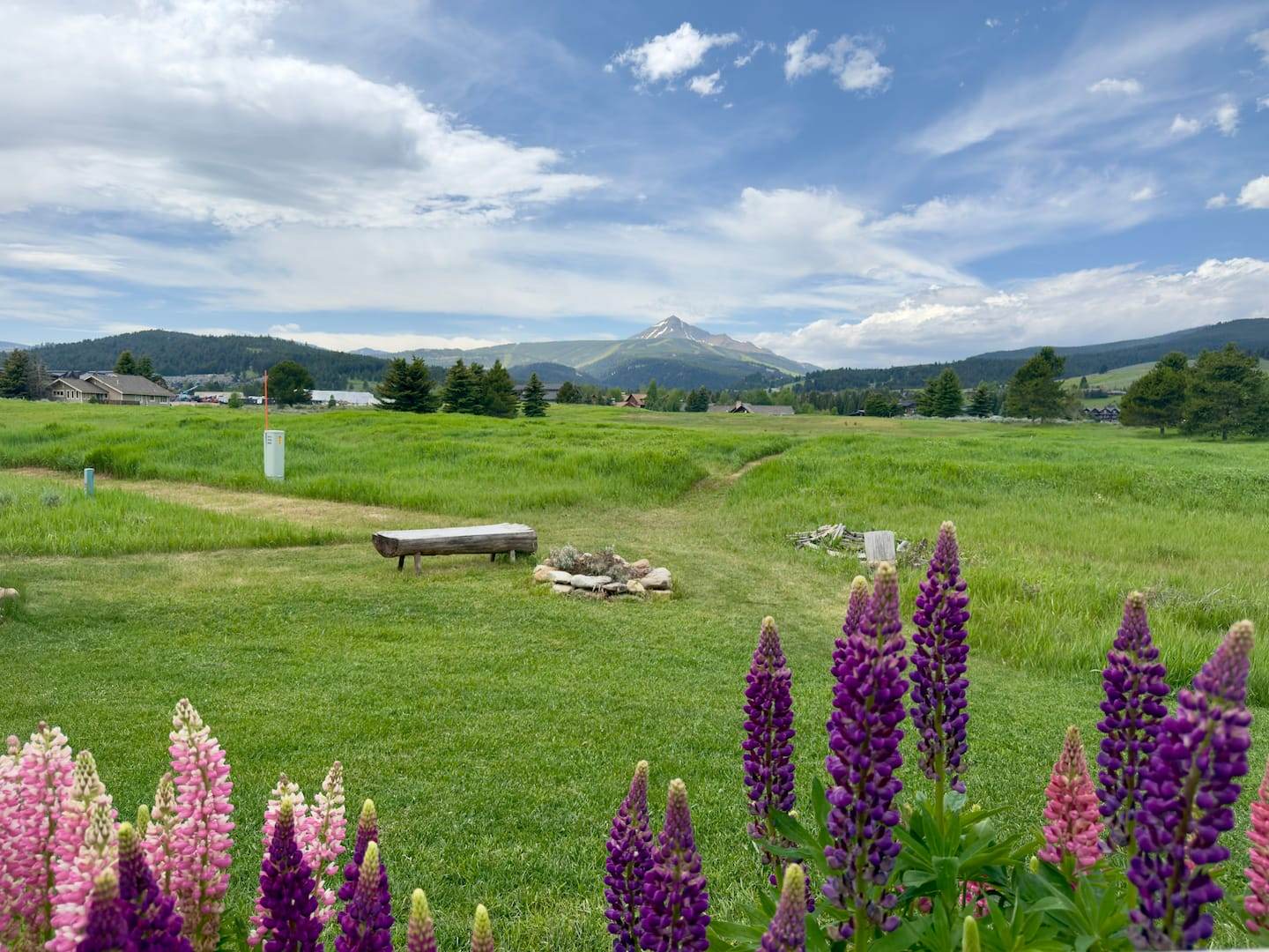 Pink and purple lupines in front of a green meadow in Big Sky, with Lone Peak under a summer sky